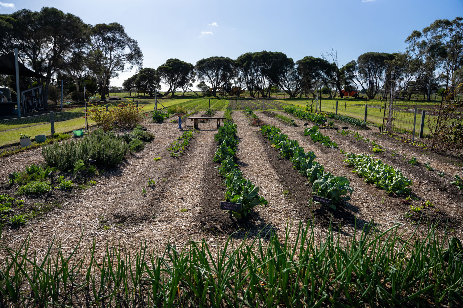 OHS-Essentials-Farmland